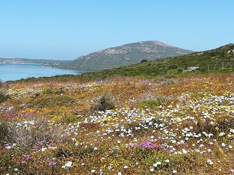 Perfect 10 - 10 To 13 Sleeper Luxury Holiday Home Breakage Deposit Of R2500 Per Weekend Lease Langebaan Bagian luar foto